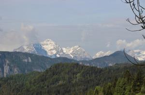 IMG_5061 (1024 x 671)